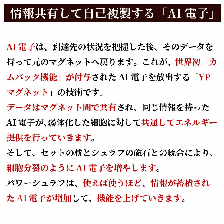AI電子が弱った細胞を正常化する リカバリー 寝袋 湧命力 パワー シュラフ TWO(2) ノンレム睡眠に誘導する専用枕付 / schlaf シェラフ 日本製
