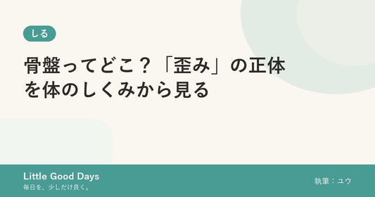 骨盤ってどこ？「歪み」の正体を体のしくみから見る