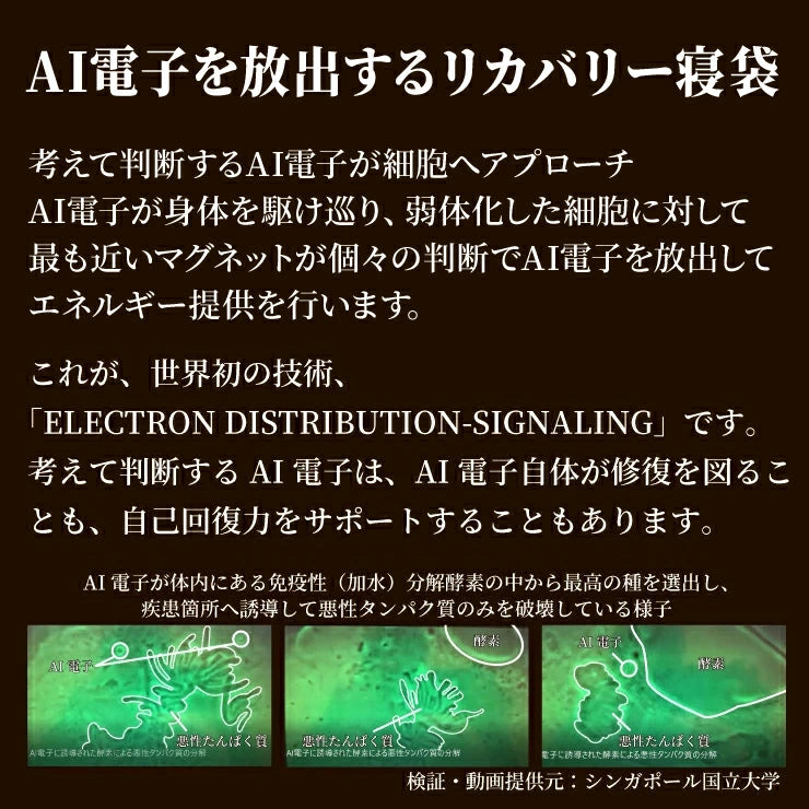 AI電子が弱った細胞を正常化する リカバリー 寝袋　湧命力 パワー シュラフ TWO（２） ノンレム睡眠に誘導する専用枕付 / schlaf シェラフ 日本製